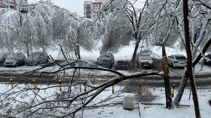 Štab u podne o snegu
